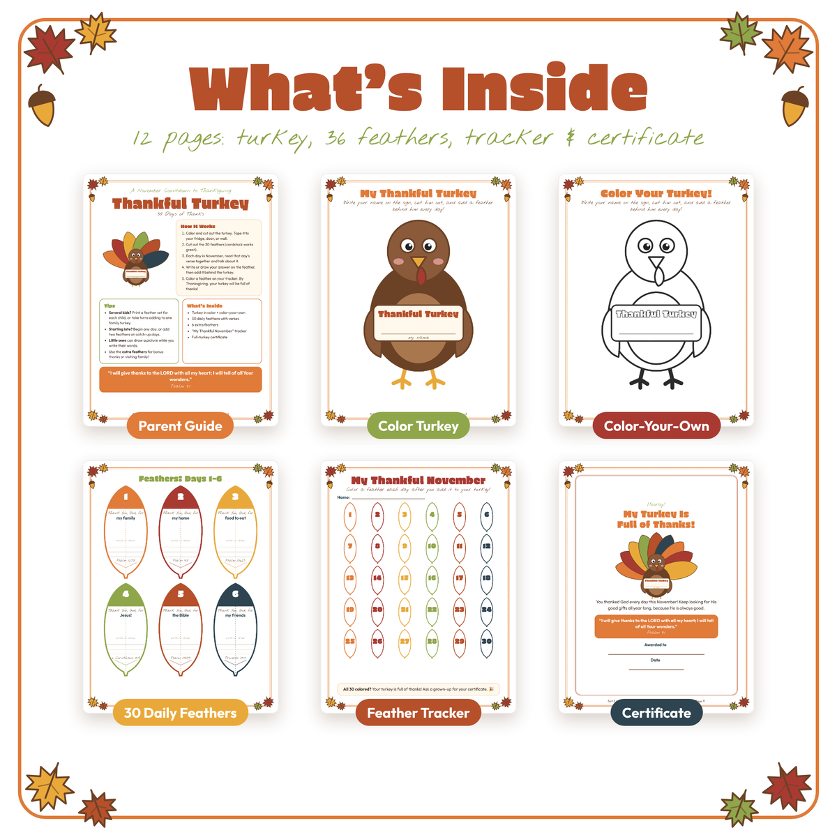 Thankful Turkey: 30 Days of Thanks November Countdown for Kids